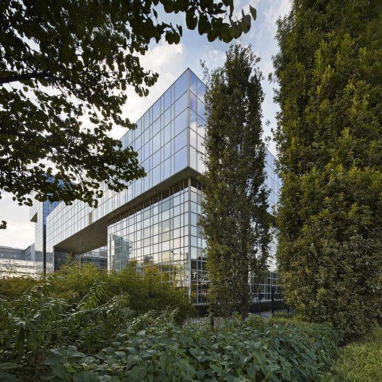 Défense Conseil International