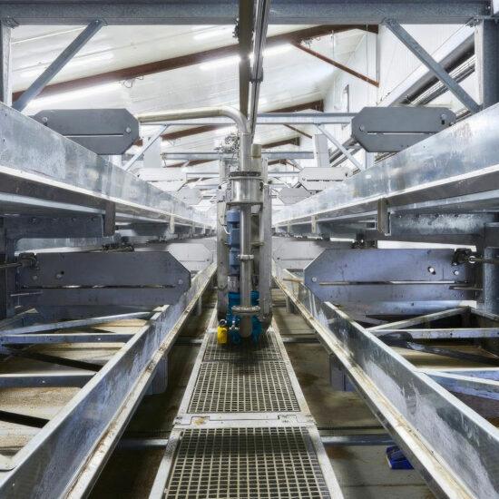 La Compagnie des Insectes